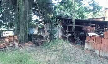 Imagem 6: Casa para venda com 2 quartos em um terreno de 1 mil metros quadrados