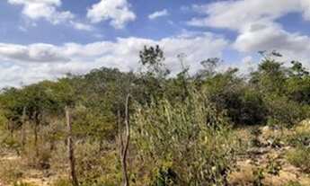 Imagem: Terreno 13 tarefas