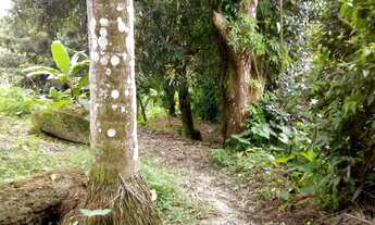 Imagem 3: Belíssima área verde em Tabatinga