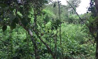 Imagem 6: Lote/Terreno para venda com 600 metros quadrados em Aldeia dos Camarás - Camaragibe - PE