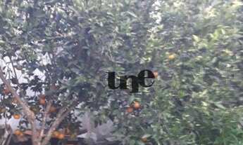 Imagem 4: Casa com 3 dormitórios à venda, 110 m² por R$ 191.000 - Cohab Tablada - Pelotas/RS