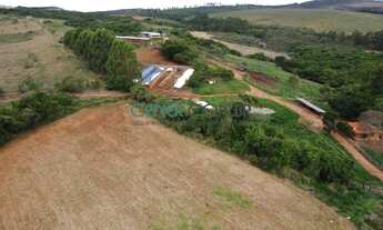 Imagem 3: IMPONENTE FAZENDA DE 282,50 HA COM LINDA SEDE CENTENÁRIA E ALTA PRODUÇÃO DE LEITE E EUCALI