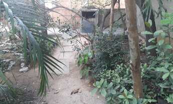 Imagem 3: Casa com ótimo preço e independente