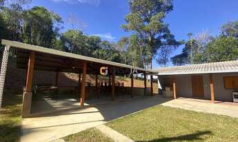 Imagem 4: BALSA NOVA - Chácara - Mato Chiqueiro