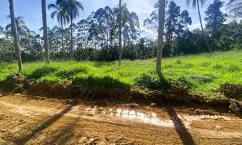 Imagem 5: Venha conhecer esse sucesso de vendas