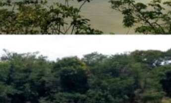 Imagem 6: Fazenda para investimento na BAHIA