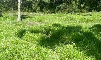 Imagem: Venha conhecer esse sucesso de vendas