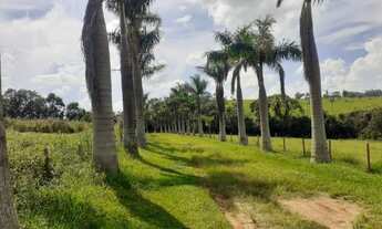 Imagem: Excelente Sítio 13,5 Alqueires