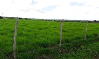 Imagem 3: Fazenda na região de monte alegre com 210 hectares