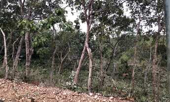 Imagem 4: Lotes Na Serra Do Cipó