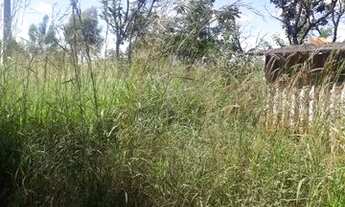 Imagem 2: Excelente oportunidade!! Vendo ótimo lote ao lado de igreja em nova Petrópolis-GO