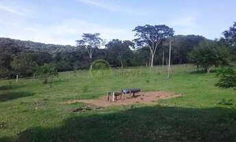 Imagem 4: Excelente Sítio aproximadamente 6KM de Agudos