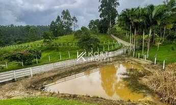 Imagem 5: Chácara com 3 dormitórios à venda, 3000 m² por R$ 390.000 - Serra Tomio - Laurentino/Santa
