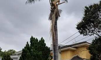 Imagem 2: Casa de condomínio sobrado para venda tem 600 metros quadrados com 5 quartos