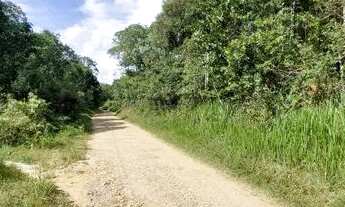 Imagem 5: CHÁCARA com 1 dormitório à venda com 642507m² por R$ 4.160.000,00 no bairro PAPANDUVA - BO