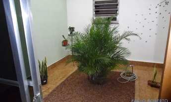 Imagem 7: CASA TÉRREA - SAÚDE - SP