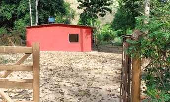 Imagem: Chácara com casa e pomar produzindo