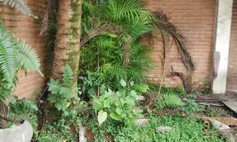 Imagem 5: Sobrado lindo com4 quartos 3 vagas de hidromas, edícula , churrasqueira e quintal portão e