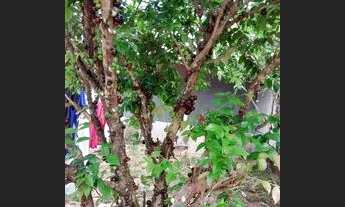 Imagem 3: Chácara recanto dos 18