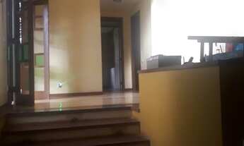 Imagem 5: A mais bela Violeta