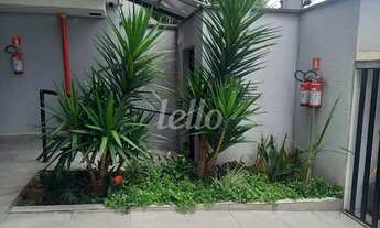 Imagem 2: Santo André - Apartamento Padrão - Paraíso