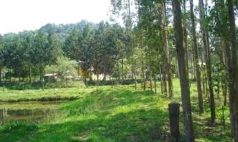 Imagem 4: CAPELA DE SANTANA - Terreno Padrão - Imigrantes