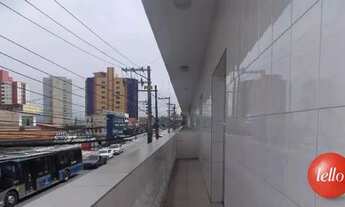 Imagem 4: São Paulo - Apartamento Padrão - Tucuruvi