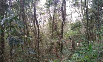 Imagem: Terra com água e nascente