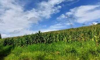 Imagem 2: CHÁCARA com 1 dormitório à venda com 642507m² por R$ 4.160.000,00 no bairro PAPANDUVA - BO