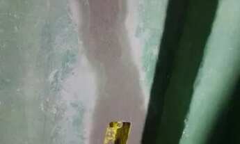 Imagem 5: CASA no Curuzú / Liberdade