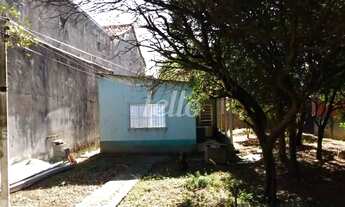 Imagem 4: Santo André - Terreno Padrão - Vila Alzira