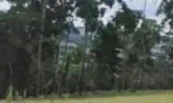 Imagem: Lotes no bairro Vargem do Salto, Ibiúna