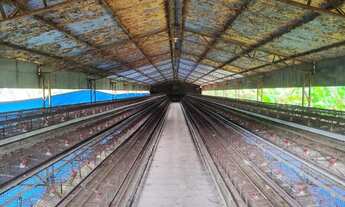 Imagem 7: Propriedade comercial em São Roque) Sitio e Granja 97392 M2 em São Roque