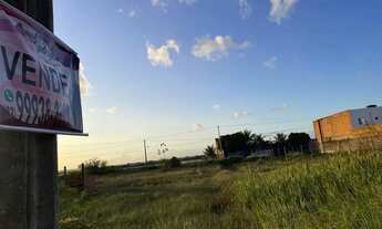 Imagem 4: Trevo do Francês