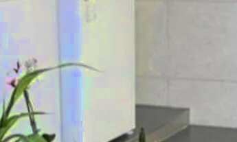 Imagem 3: Aluguel com pouca burocracia, incluso água, luz, gás, aceitamos pets