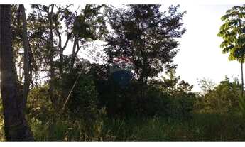 Imagem 5: GRANDE ÁREA NO INÍCIO DA AV. LINHA VERDE (PRÓXIMA À FACULDADE ESTÁCIO