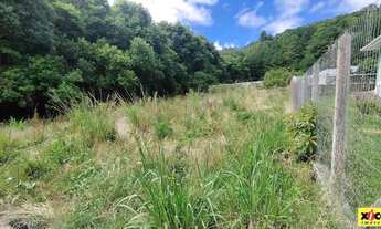 Imagem 2: Terreno para Venda em Nova Petrópolis, Linha Imperial