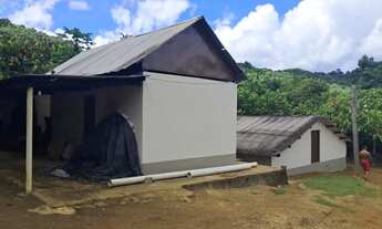 Imagem: Maravilhosa propriedade produtiva no sul