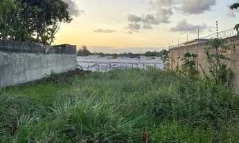 Imagem 6: Trevo do Francês