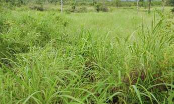 Imagem 6: Excelente Chácara de 8.9 Hectares em Vila Boa Goiás / Escriturada e Registrada