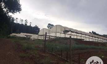 Imagem 14: Terreno à venda, Distrito de São João - Cascavel/Pr