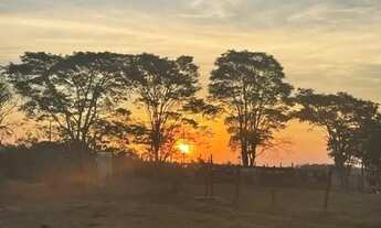 Imagem 4: AREA - ITAPETININGA - SP