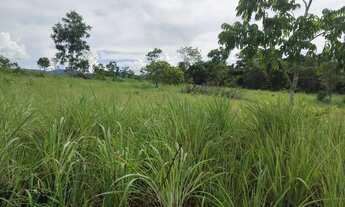 Imagem 4: Excelente Chácara de 8.9 Hectares em Vila Boa Goiás / Escriturada e Registrada