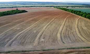 Imagem 4: Fazenda com 100% com Dívida no banco em Goiás