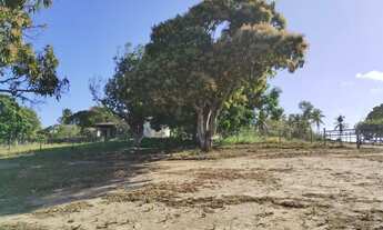 Imagem 6: Ipioca, terreno chácara com 5 mil m2