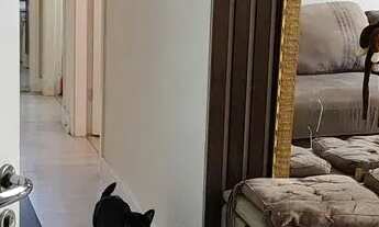 Imagem 6: Apartamento para venda possui 46 metros quadrados com 2 quartos em Canhema - Diadema - São