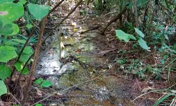 Imagem 5: Lindo Sítio/Terreno no Bairro Olaria em Canoas REF: G4485