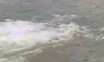 Imagem 4: Fazenda MG Bonfinópolis