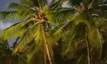 Imagem 4: LOTE COM UMA EXCELENTE REGIÃO-VILLAREDO BARRA-RAINHA DOS LOTES.