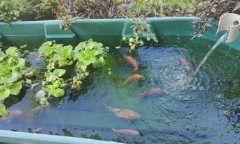 Imagem 7: Chácara à venda em Ipeúna/SP